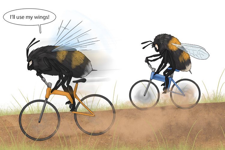 While riding his bicycle, the bee sees a clever tactic (bicicleta) to speed himself up.